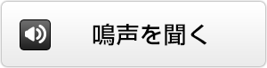 鳴声を聞く