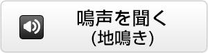 鳴声を聞く(地鳴き)