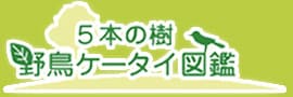 5本の樹 野鳥ケータイ図鑑