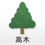 高木