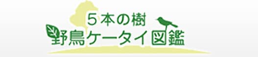 5本の樹 野鳥ケータイ図鑑